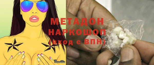 индика Алексин
