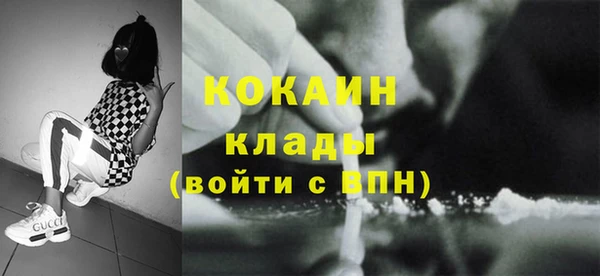 индика Алексин