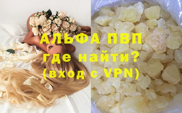 индика Алексин