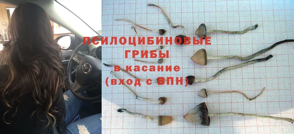 эйфоретик Алзамай