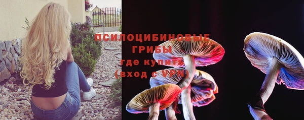 индика Алексин