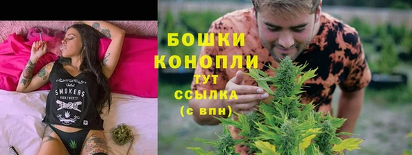 стаф Новый Уренгой
