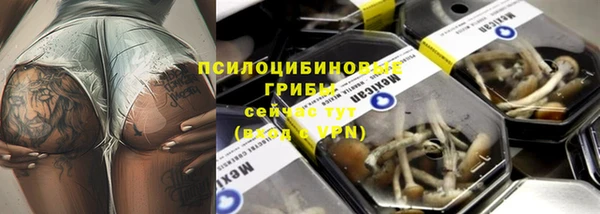 индика Алексин
