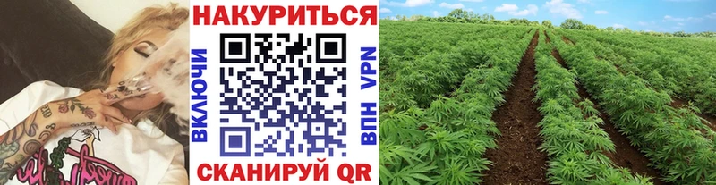 kraken маркетплейс  Болхов  Канабис индика 